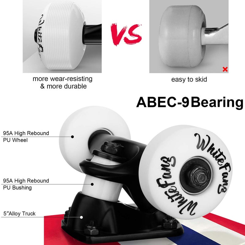 WhiteFang Skateboards for Beginners, Complete Skateboard 31 x 7.88, 7 Layer Canadian Maple Double Kick Concave Standard and Tricks Skateboards for Kids and Beginners (Great US) - Image 4